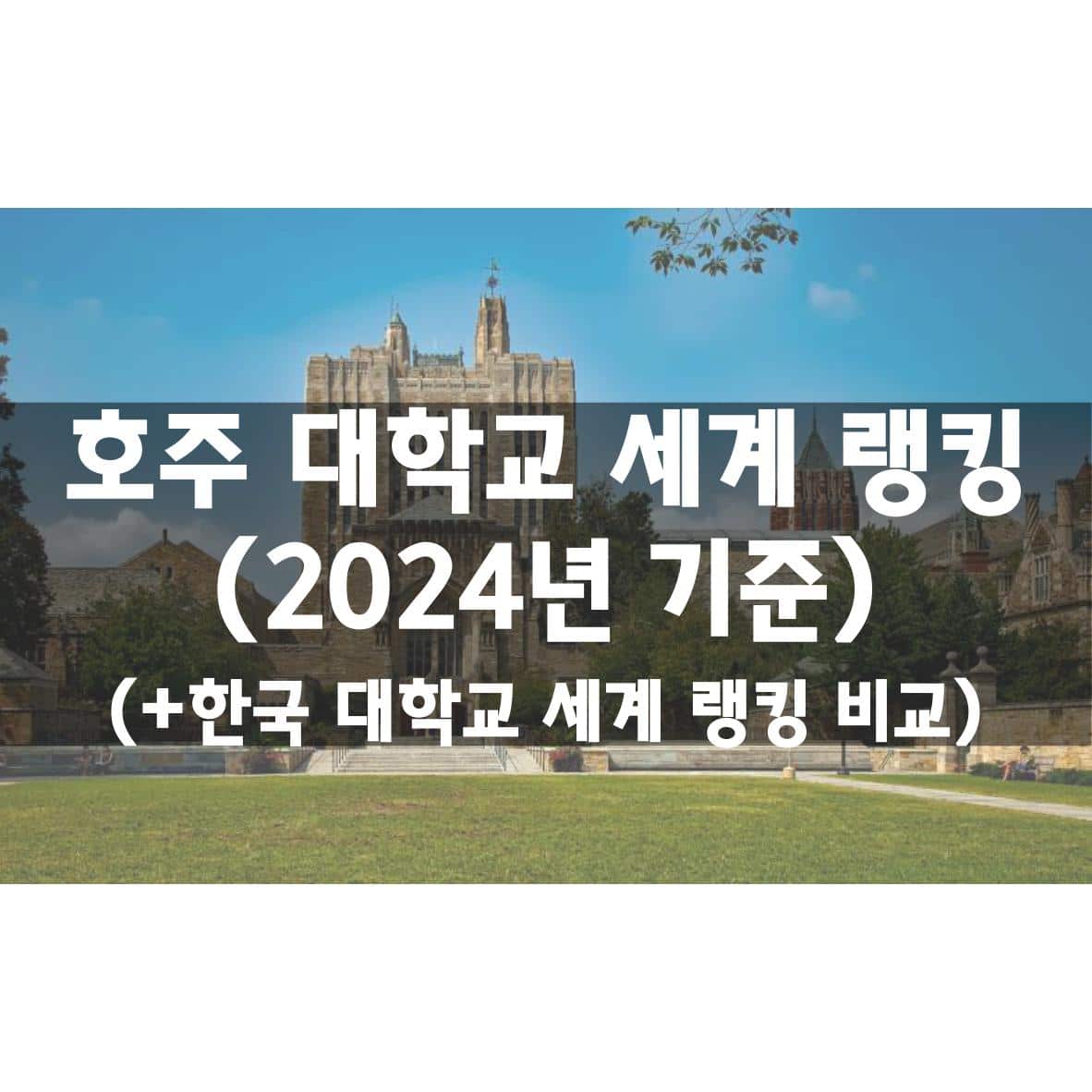 호주 대학교 순위 (2024년) MKL Sydney